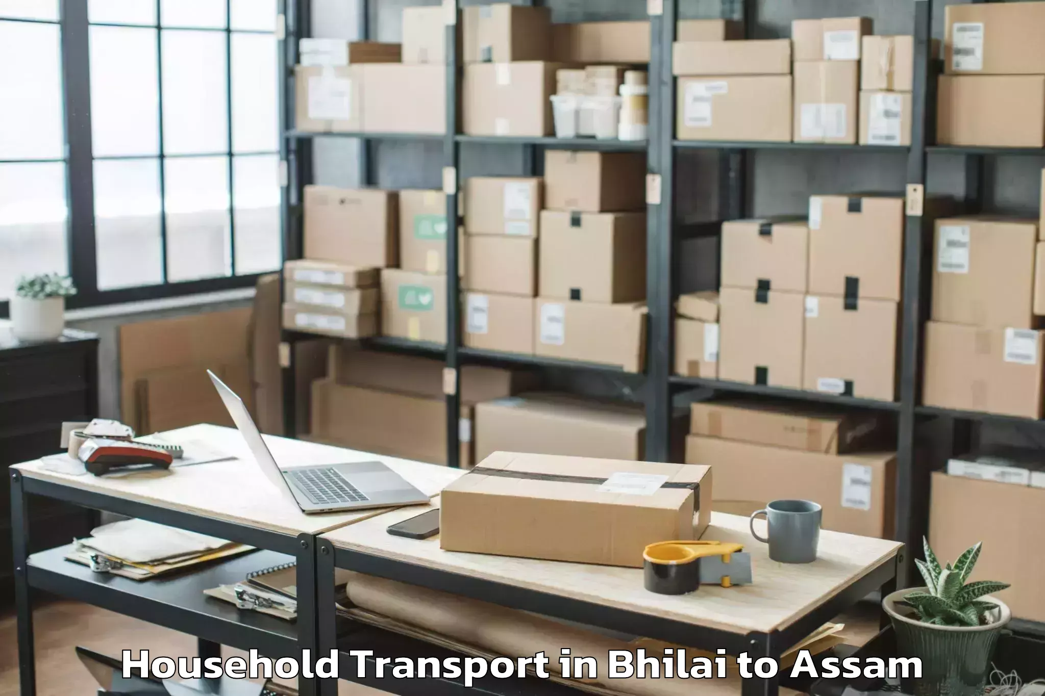 Reliable Bhilai to Tinsukia Household Transport